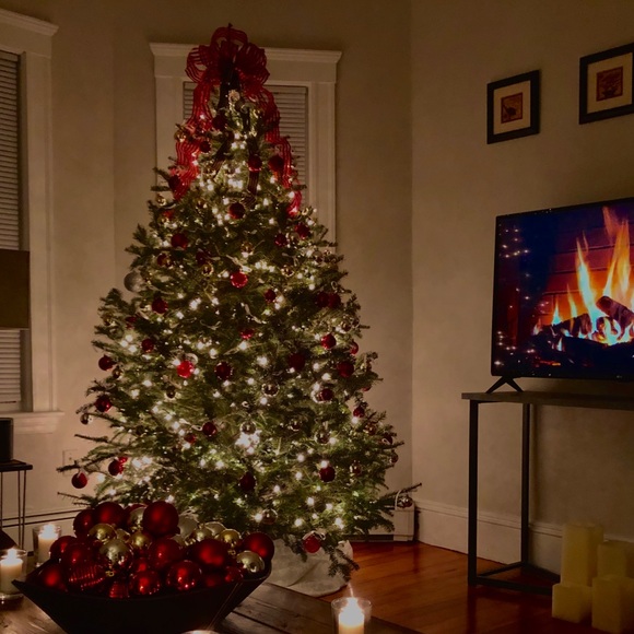 Meet your Posher, Bob - Picture 4 of 7